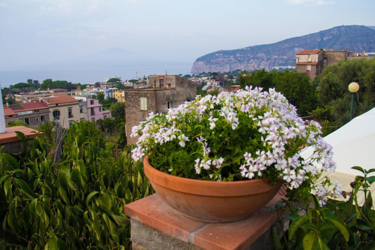 Shanti Home - Restaurant Di Aversano Salvatore Sorrento Exteriér fotografie